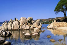 哪里能看五星体育在线直播高清无插件？